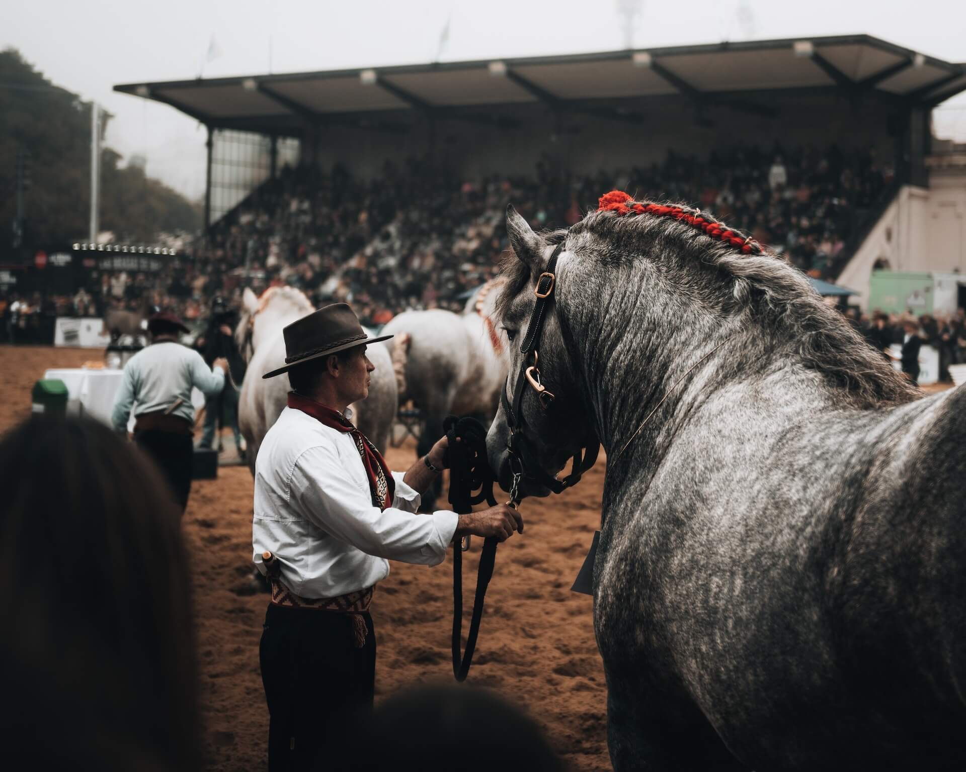 Gaucho Experience: Înțelegerea tradițiilor și a vieții rurale în Argentina